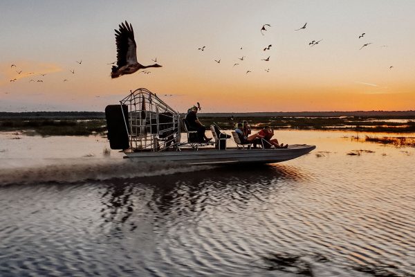 306635758_5769634703067901_5464868431795530933_n (1) sunset airboat bamurru plains birds wildlife water boat