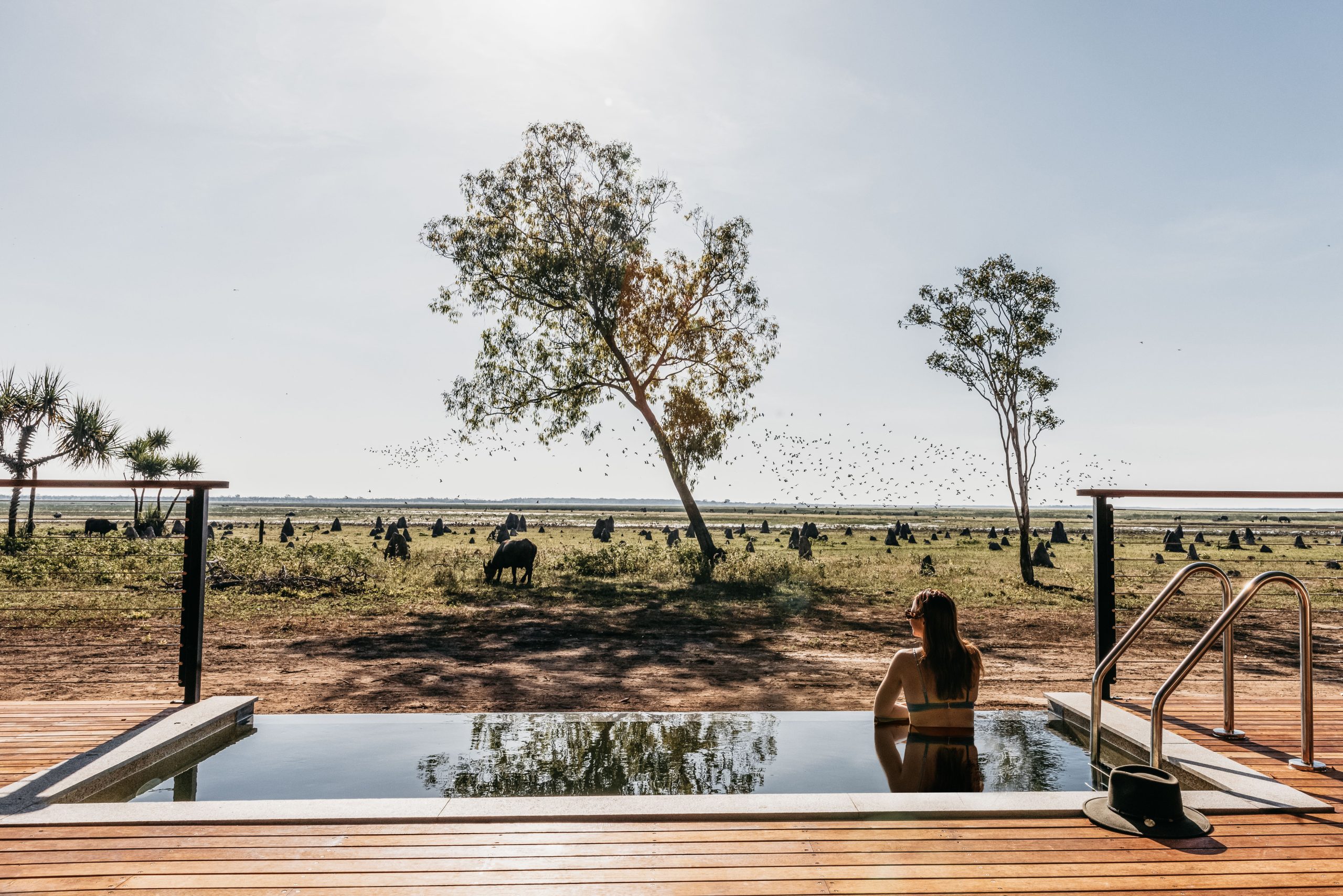Bamurru Plains stay home page pool private jabiru retreat