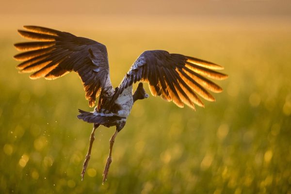 RI-home-2_92I5843-copy_sml1 (1) RI-home-2_92I5843-copy_sml1 (1)